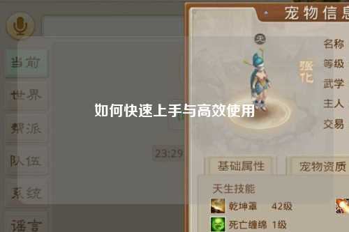 如何快速上手与高效使用